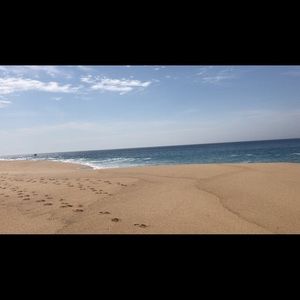 Meet your Posher, Kevin